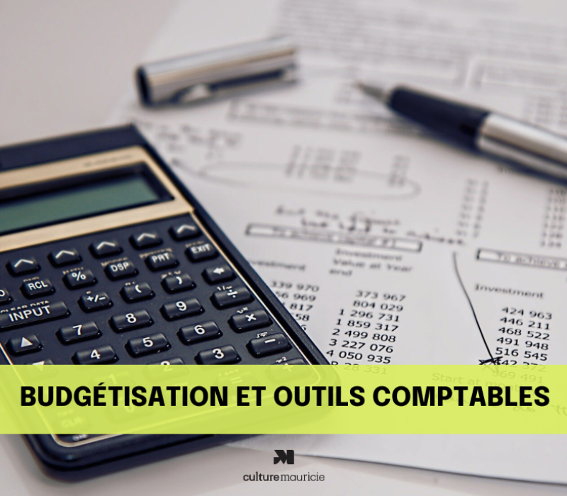 Budgétisation et outils comptables 
