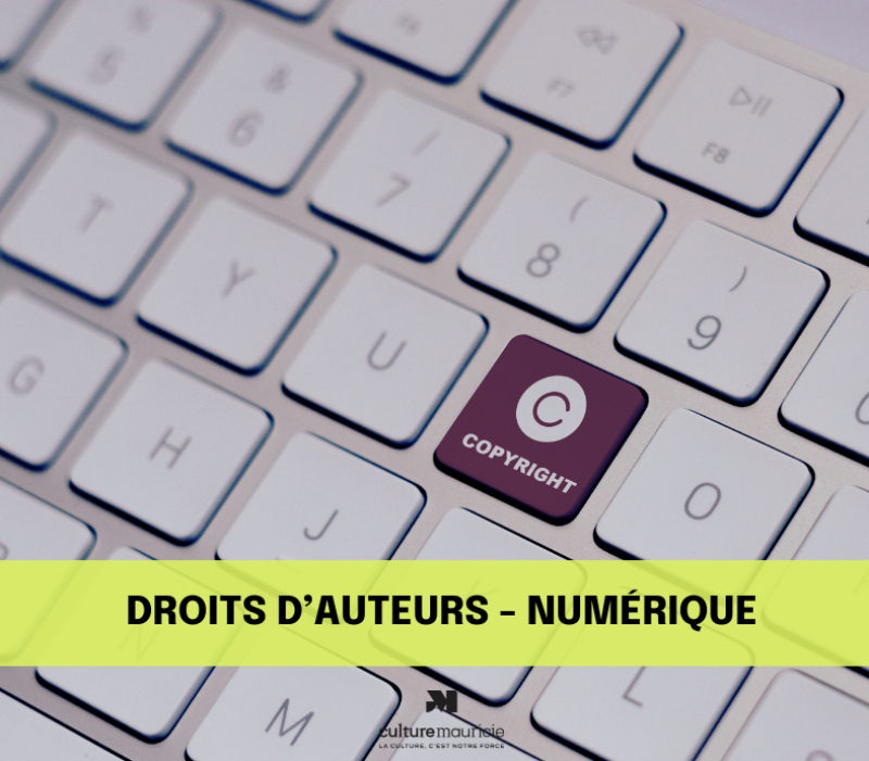 Formation / Droit d’auteur : aspects juridiques de la diffusion de contenus dans l’univers numérique