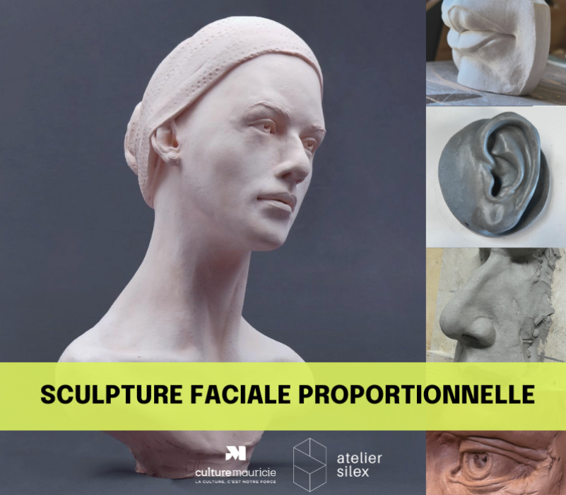 Formation / Principes essentiels de la sculpture faciale proportionnelle