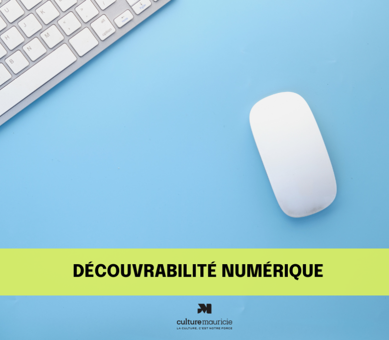 Découvrabilité numérique