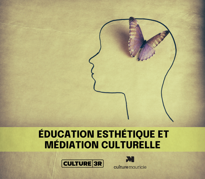 Initiation à l’éducation esthétique comme approche de médiation culturelle 