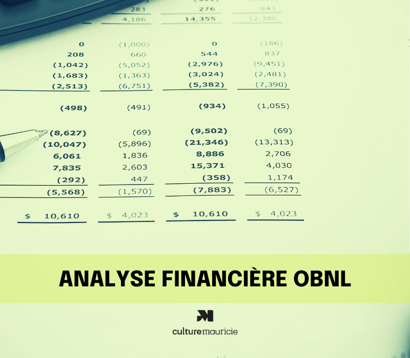 Analyse et compréhension des données financières des OBNL en culture